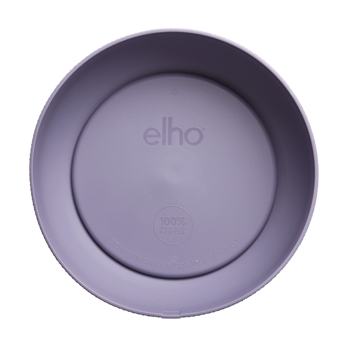 jazz bowl 28cm lavande lilas